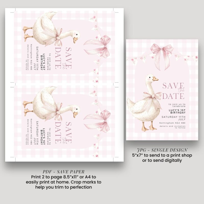 pink one silly goose invite 2