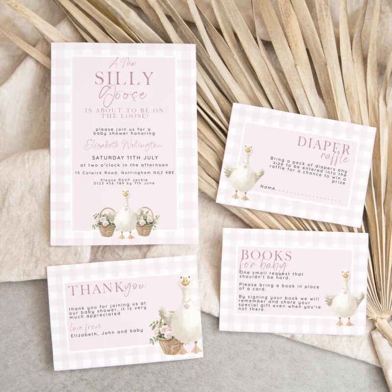 Pink gingham baby shower bundle with hand-drawn goose illustrations, including an invitation, diaper raffle, books for baby, and thank you card.