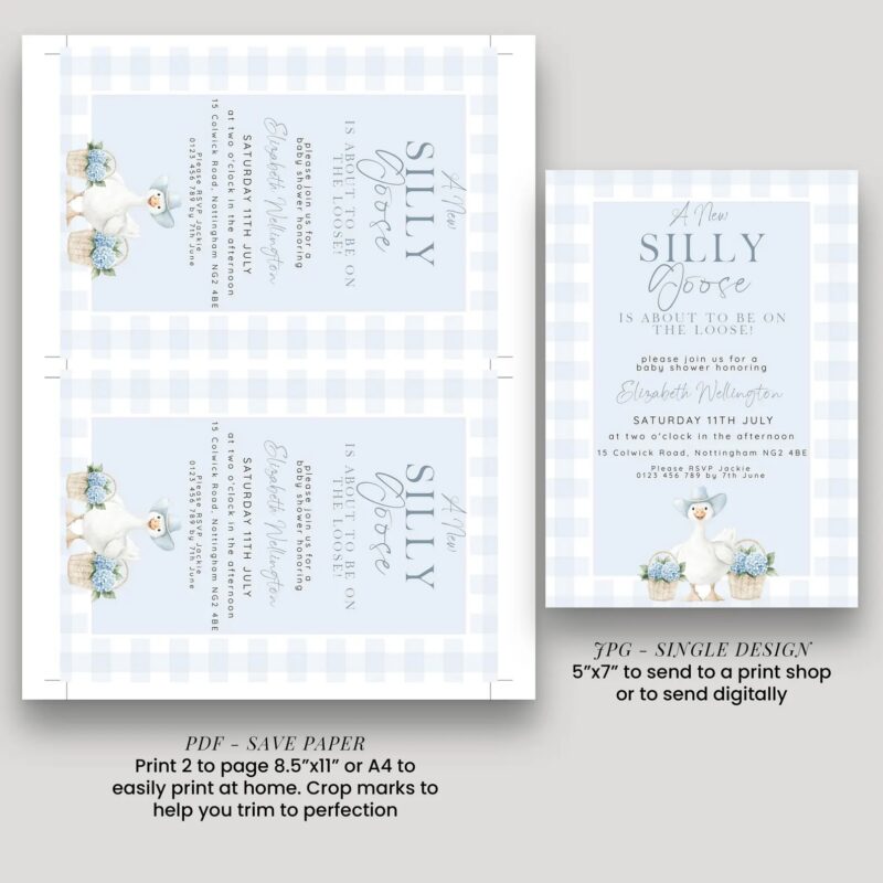silly goose blue baby shower invite2